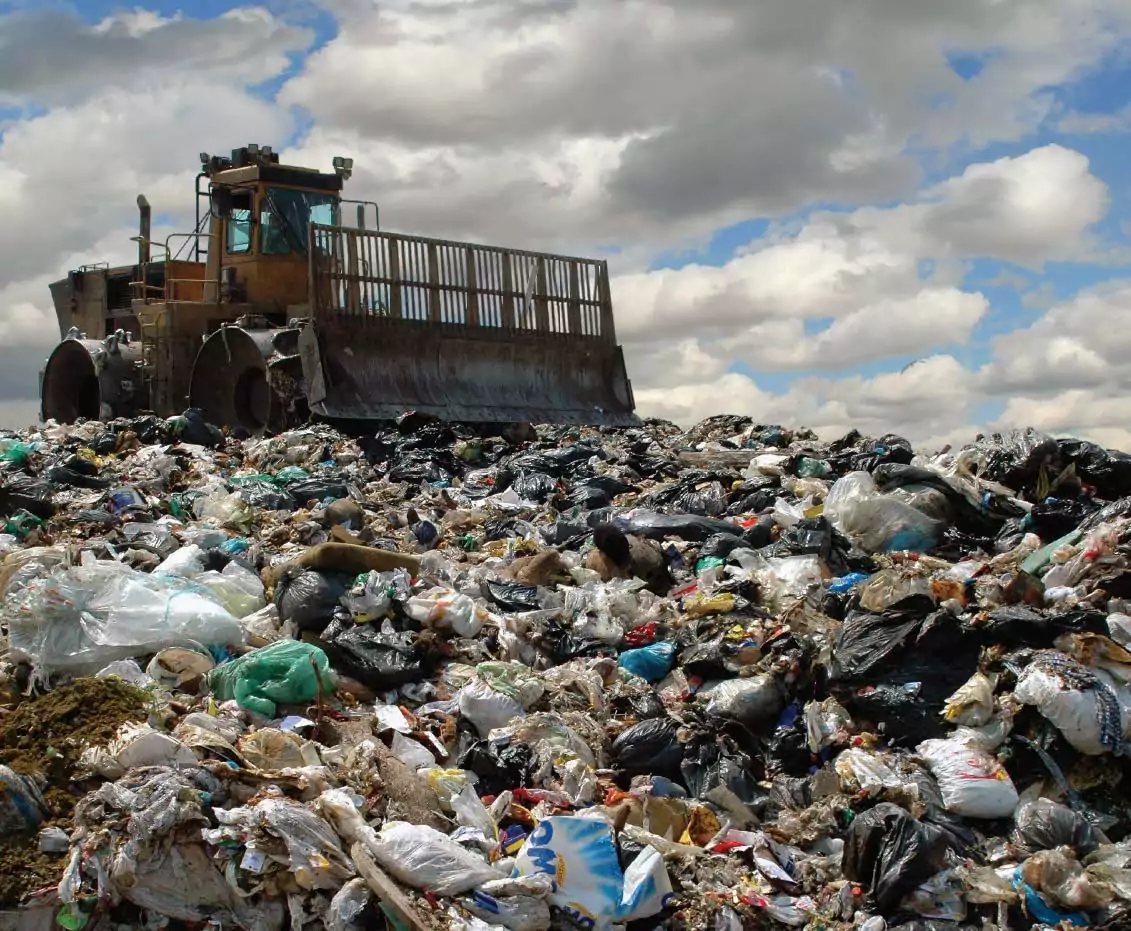 Актуальные проблемы экологии – скопление мусора